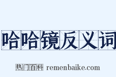 哈哈镜反义词是什么意思的图片